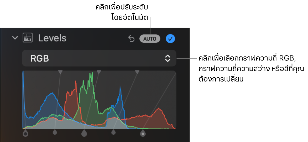 ตัวควบคุมระดับในบานหน้าต่างการปรับที่มีปุ่มออโต้ที่ด้านขวาบนสุดและฮิสโตแกรม RGB ด้านล่าง
