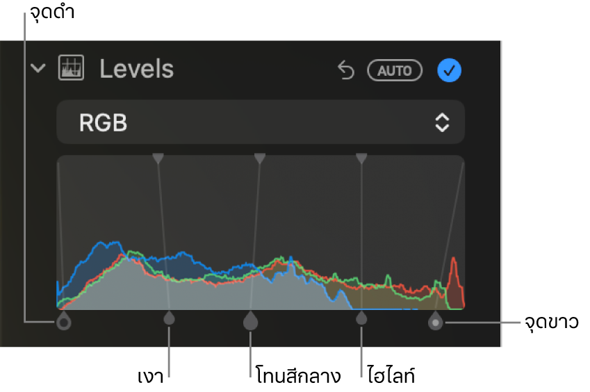 ตัวควบคุมระดับในบานหน้าต่างการปรับที่แสดงฮิสโตแกรม RGB พร้อมขอบจับด้านล่าง ซึ่งประกอบด้วย (จากซ้ายไปขวา) จุดดำ เงา โทนสีกลาง ไฮไลท์ และจุดขาว