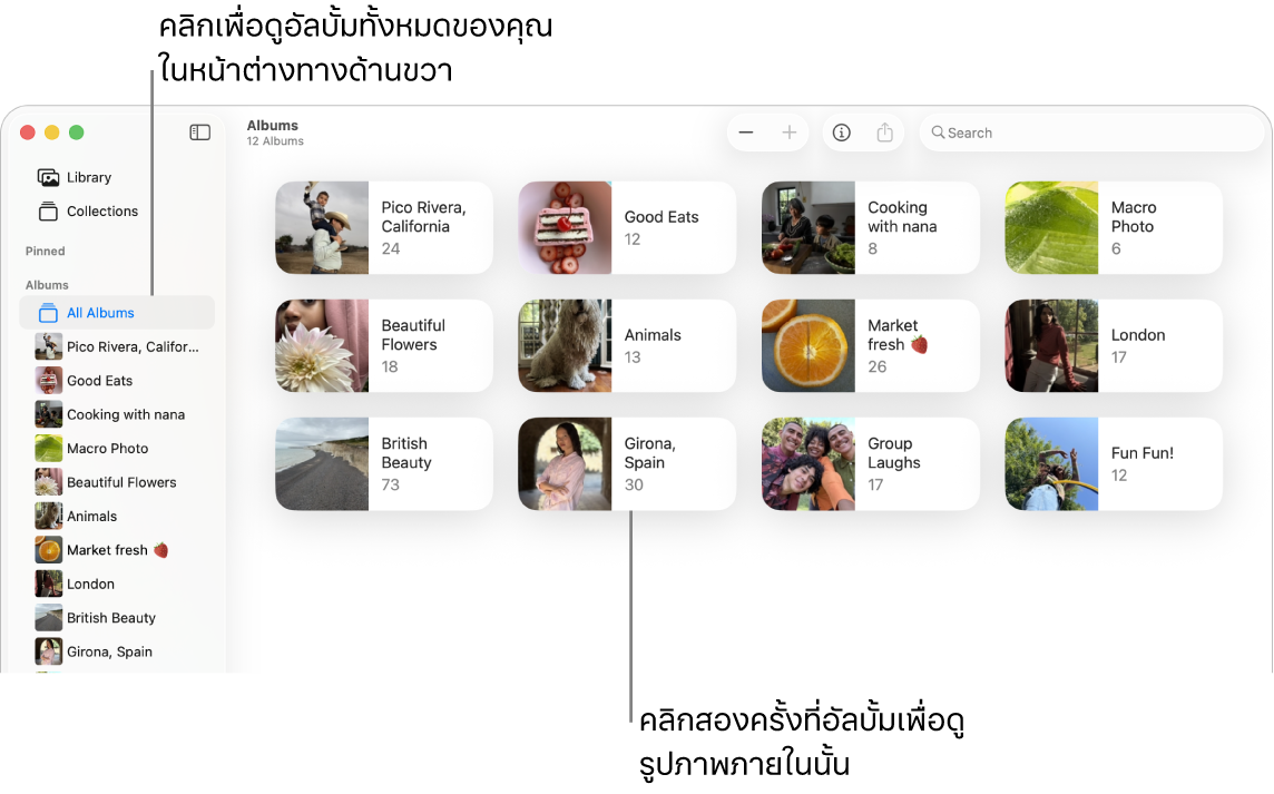 หน้าต่างรูปภาพที่มีอัลบั้มถูกเลือกอยู่ในแถบด้านข้างและอัลบั้มแสดงอยู่ทางด้านขวา