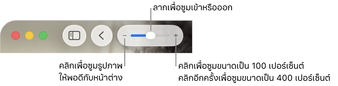 แถบเครื่องมือแสดงตัวควบคุมการซูม