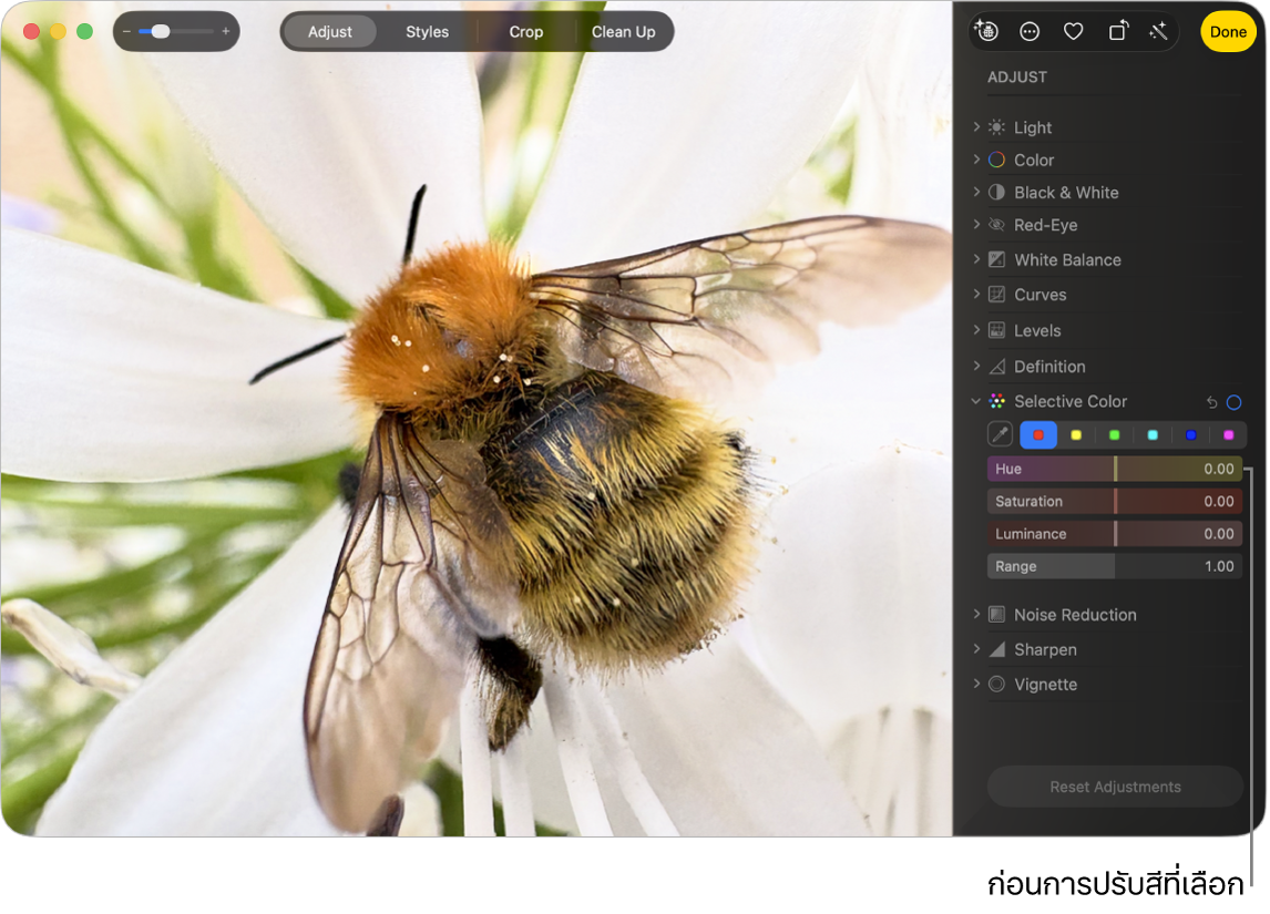 รูปภาพก่อนการปรับสีที่เลือก