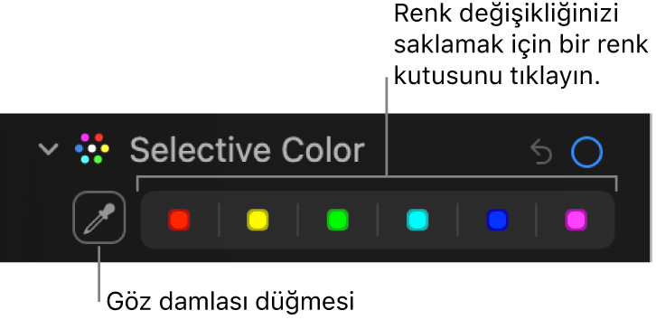 Damlalık düğmesinin ve renk kutularının gösterildiği Ayarla bölümündeki Seçmeli Renk denetimleri.