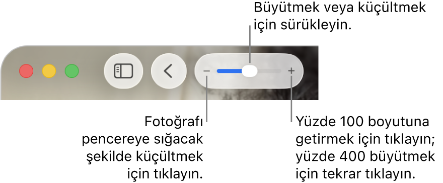 Büyütme denetimlerini gösteren araç çubuğu.