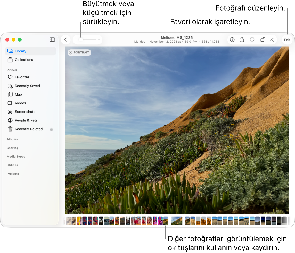 Sağda büyütülmüş bir fotoğrafı gösteren Fotoğraflar penceresi ve altında küçük resimler satırı. Üstteki araç çubuğu Büyütme/küçültme sürgüsünü, Favori düğmesini ve Düzen düğmesini içerir.