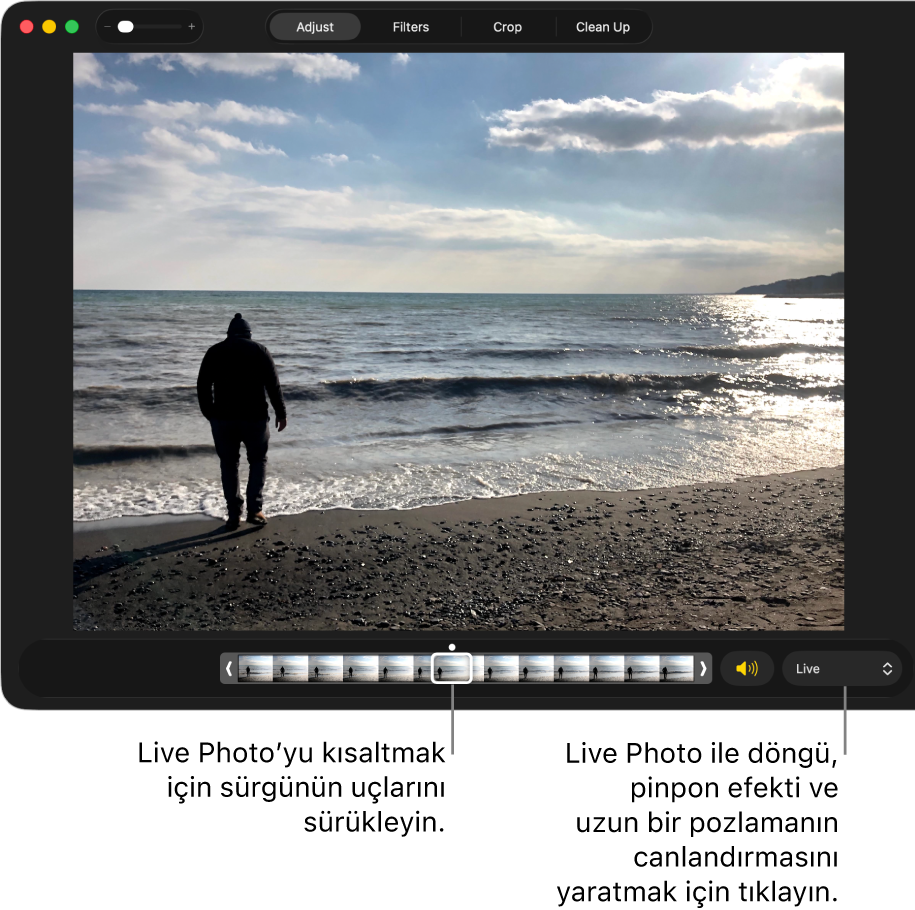 Düzenleme görüntüsünde altında fotoğrafın çerçevelerini gösteren sürgüyle birlikte görünen bir Live Photo. Sürgünün sağ tarafında Hoparlör düğmesi ve döngü, pinpon ve uzun pozlama efekti eklemek için kullanabileceğiniz bir açılır menü bulunur.