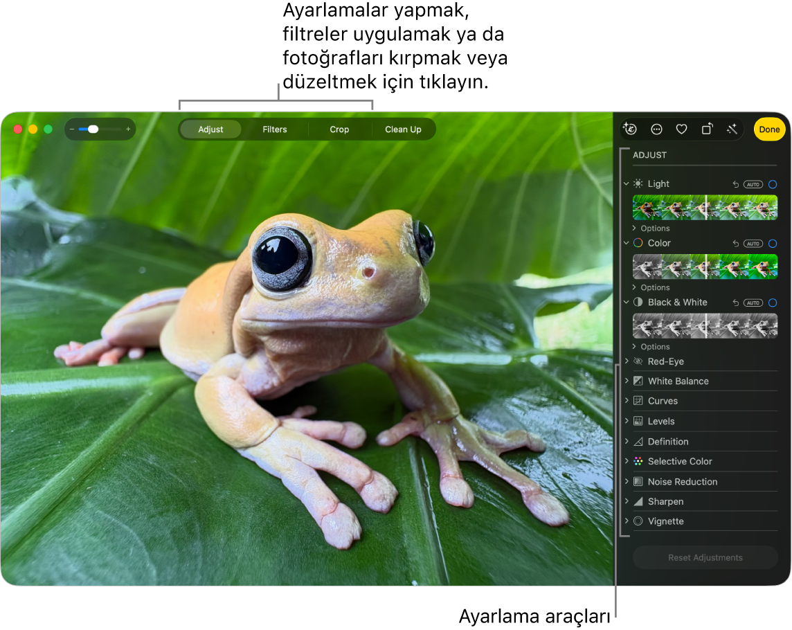 Araç çubuğunda Ayarla seçili ve sağda ayarlama araçları ile düzenleme görüntüsünde bir fotoğraf var.