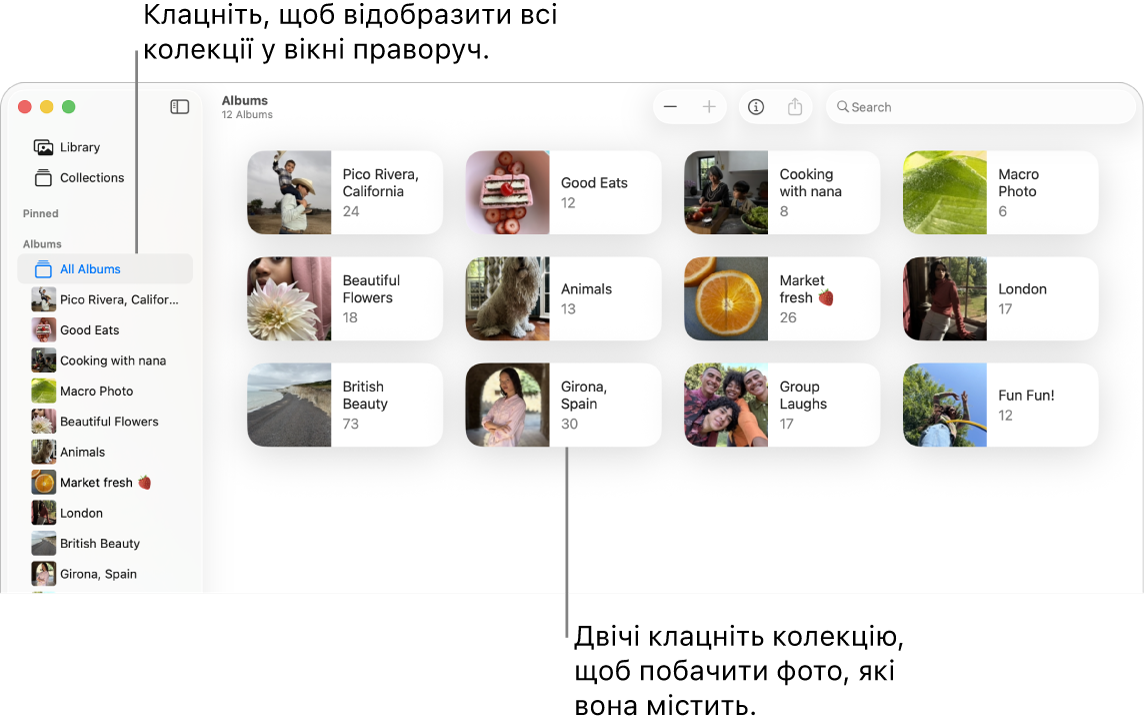 Вікно Фотографій із вибраною категорією «Альбоми» на бічній панелі та альбомами праворуч.