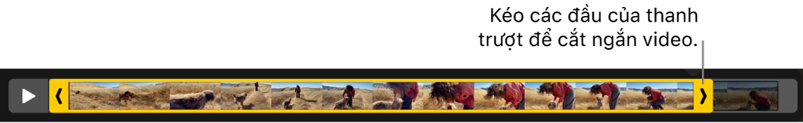 Các bộ điều khiển cắt ngắn trong video.