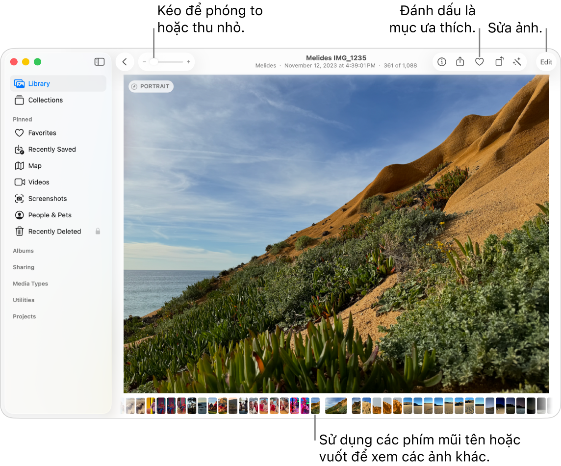 Cửa sổ ứng dụng Ảnh đang hiển thị một ảnh được phóng to ở bên phải và một hàng các hình thu nhỏ ở bên dưới. Thanh công cụ ở trên cùng bao gồm thanh trượt Thu phóng, nút Mục ưa thích và nút Sửa.