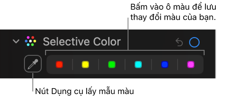 Các điều khiển Màu có lựa chọn trong khung Điều chỉnh, đang hiển thị nút Dụng cụ lấy mẫu màu và ô màu.
