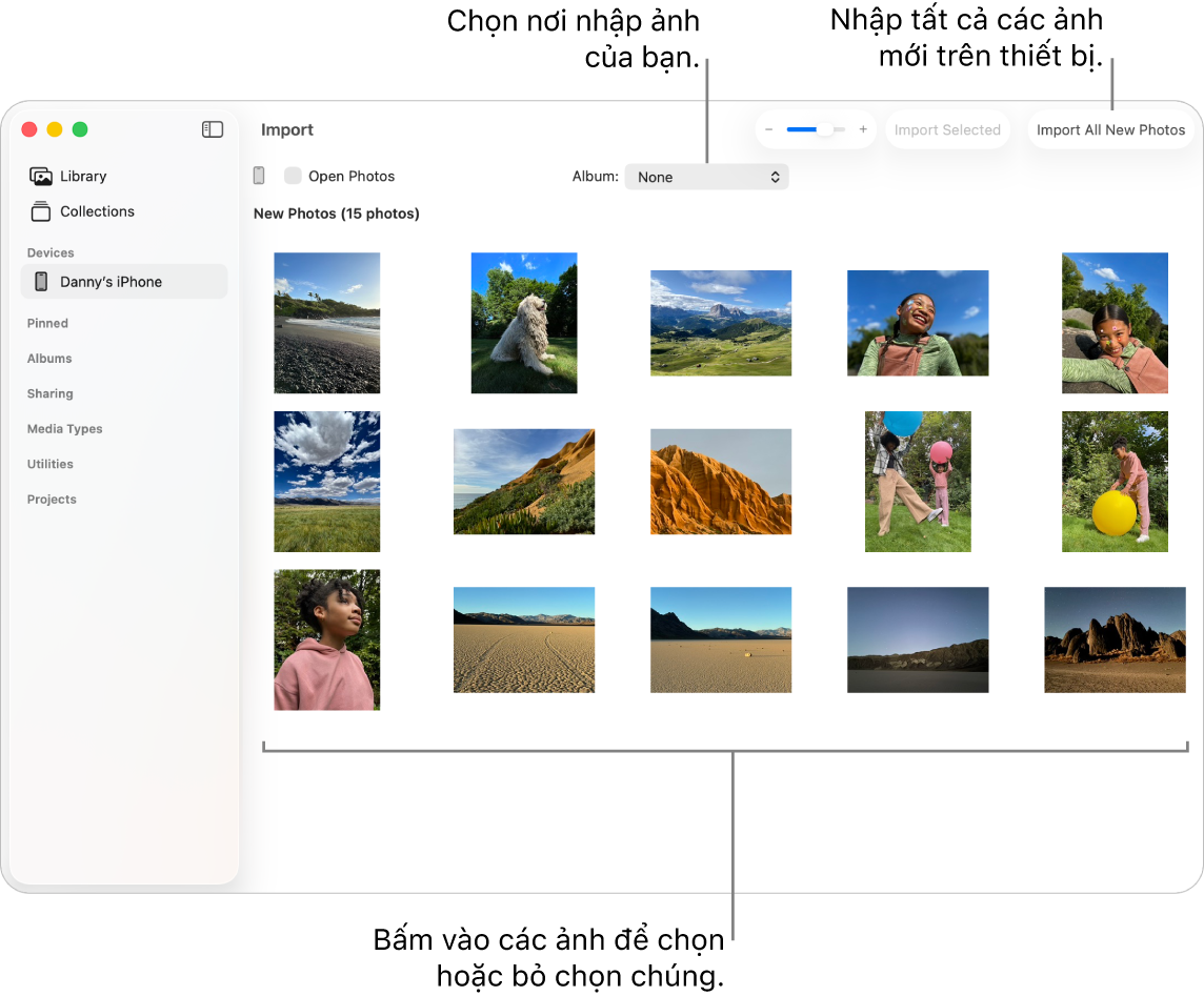 Cửa sổ Nhập trong Ảnh trên máy Mac đang hiển thị các ảnh mới trên một thiết bị. Ở chính giữa trên cùng là menu bật lên Album. Các nút Nhập nằm ở trên cùng bên phải.