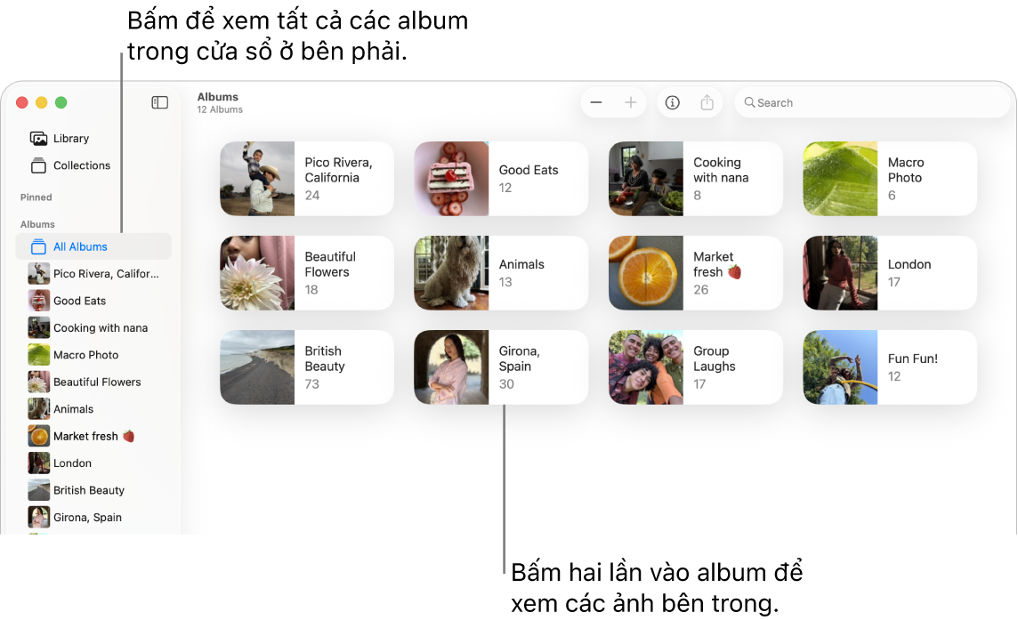 Cửa sổ Ảnh với Album được chọn trong thanh bên và các album được hiển thị ở bên phải.