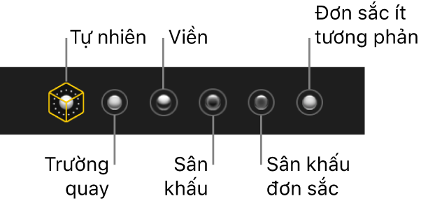 Các lựa chọn hiệu ứng chiếu sáng ở chế độ Chân dung, bao gồm (từ trái sang phải) Tự nhiên, Trường quay, Viền, Sân khấu, Sân khấu đơn sắc và Đơn sắc ít tương phản.