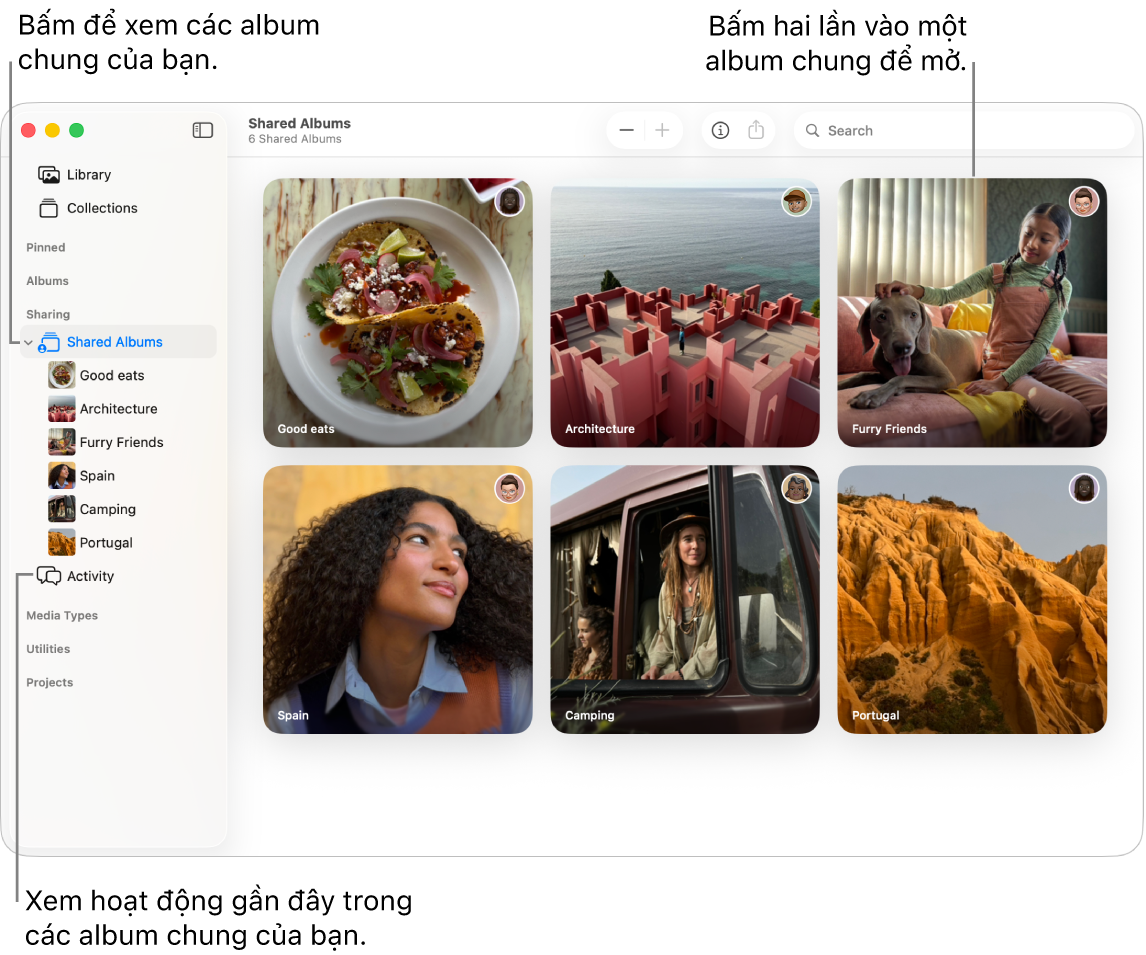 Cửa sổ Ảnh đang hiển thị Album chung được chọn trong thanh bên và các album chung đang xuất hiện ở bên phải.