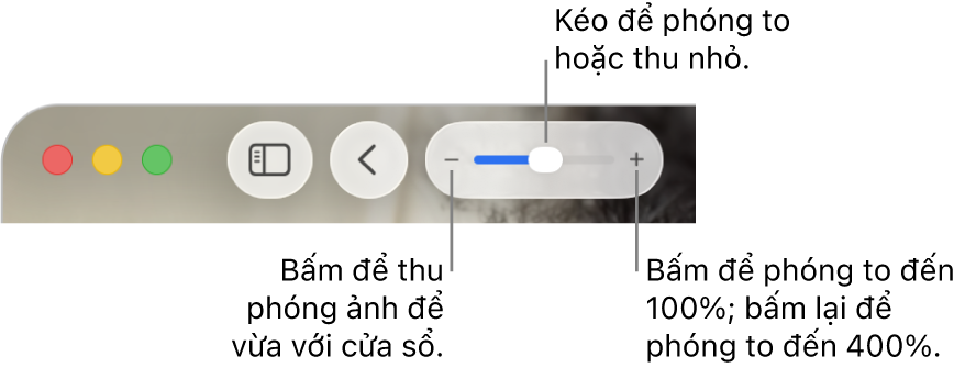 Thanh công cụ đang hiển thị các điều khiển thu phóng.