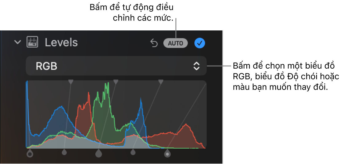 Các điều khiển Mức trong khung Điều chỉnh, với nút Tự động ở trên cùng bên phải và biểu đồ RGB bên dưới.