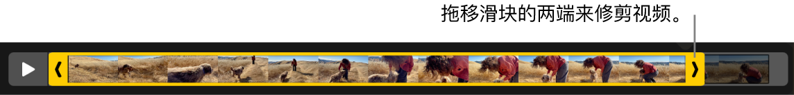 视频中的修剪控制柄。