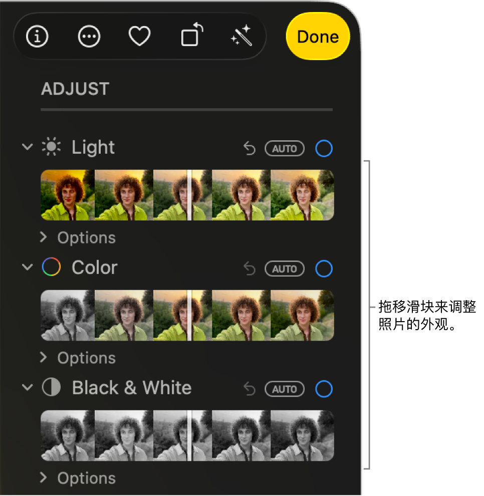 “调整”面板中的“光效”、“颜色”和“黑白”滑块。“自动”按钮出现在每个滑块上方。