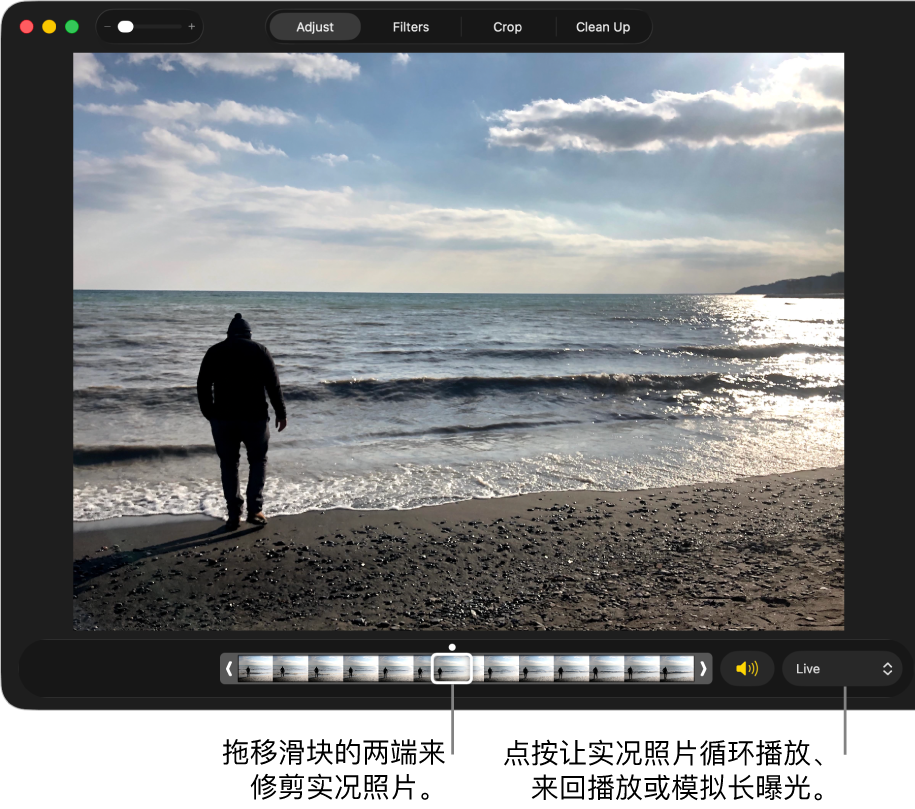编辑视图中的实况照片，其下方的滑块显示照片中的帧。滑块右侧是“扬声器”按钮和可用于添加循环播放、来回播放或长曝光效果的弹出式菜单。