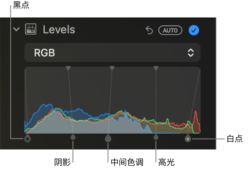 “调整”面板中的“色阶”控制,显示 RGB 直方图及下方的控制柄,包括(从左到右)黑点、阴影、中间色调、高光和白点。
