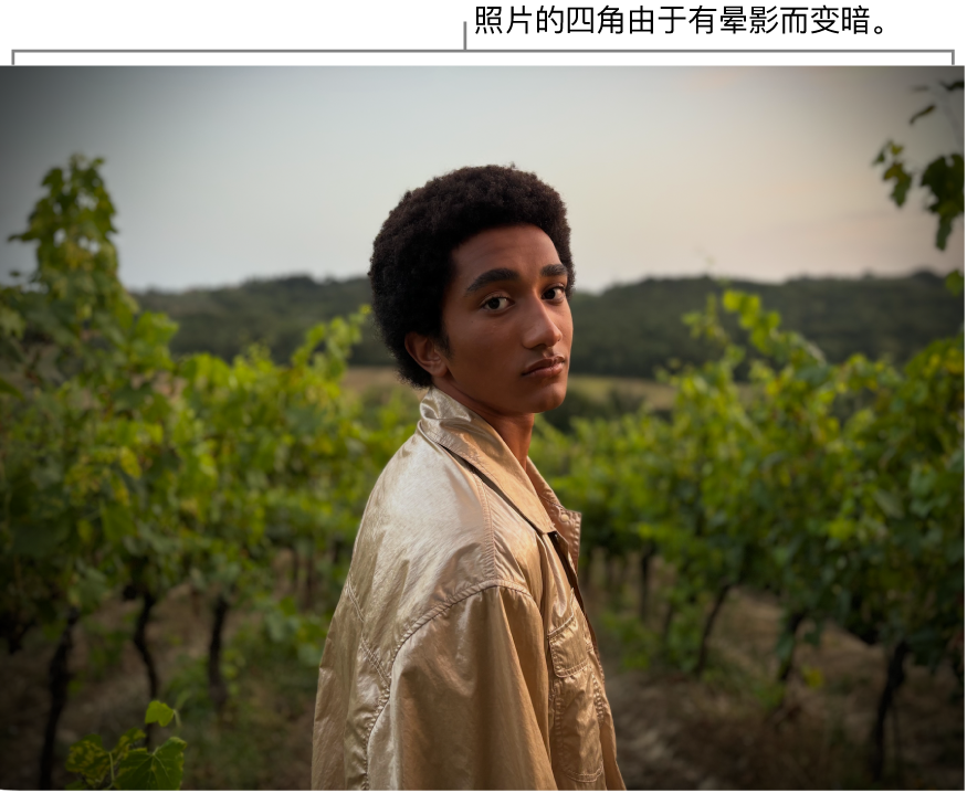 应用了晕影的照片，其中显示边缘周围的暗度。