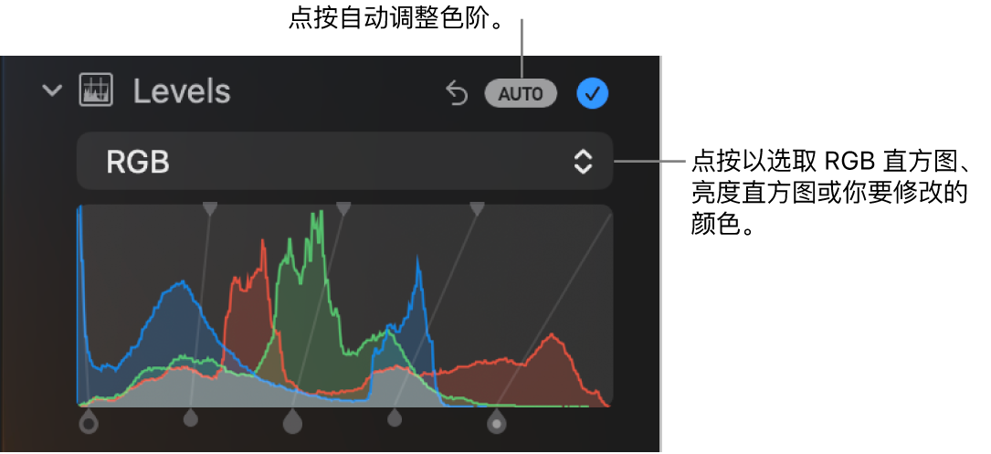 “调整”面板中的“色阶”控制,包含右上方的“自动”按钮和下方的 RGB 直方图。