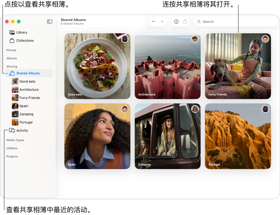 “照片”窗口，显示在边栏中选择了“共享相簿”，右侧显示了共享相簿。