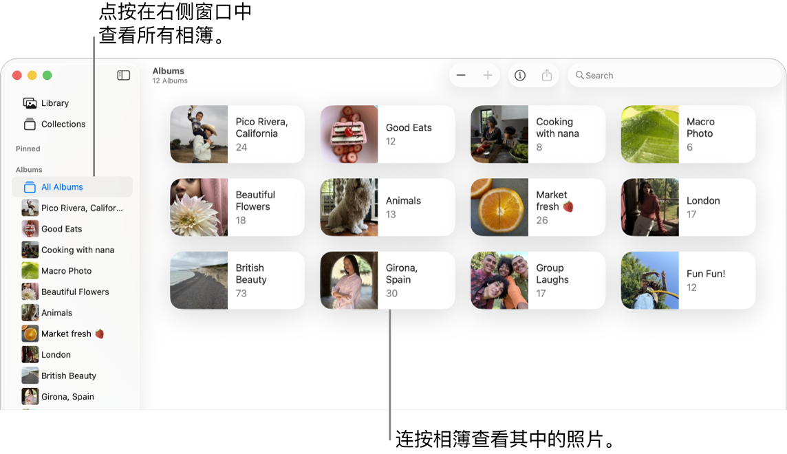 “照片”窗口在边栏中选择了“相簿”,右侧显示了相簿。