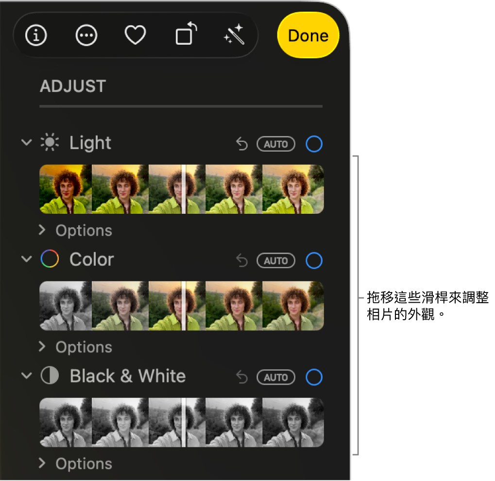 「調整」面板中的「光線」、「顏色」或「黑白」滑桿。 每個滑桿上都有一個「自動」按鈕。