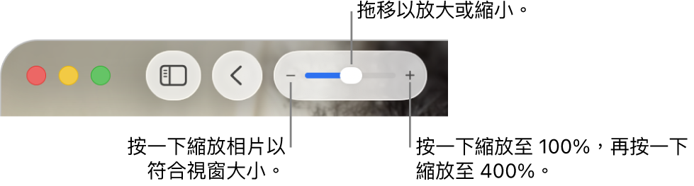 顯示縮放控制項目的工具列。