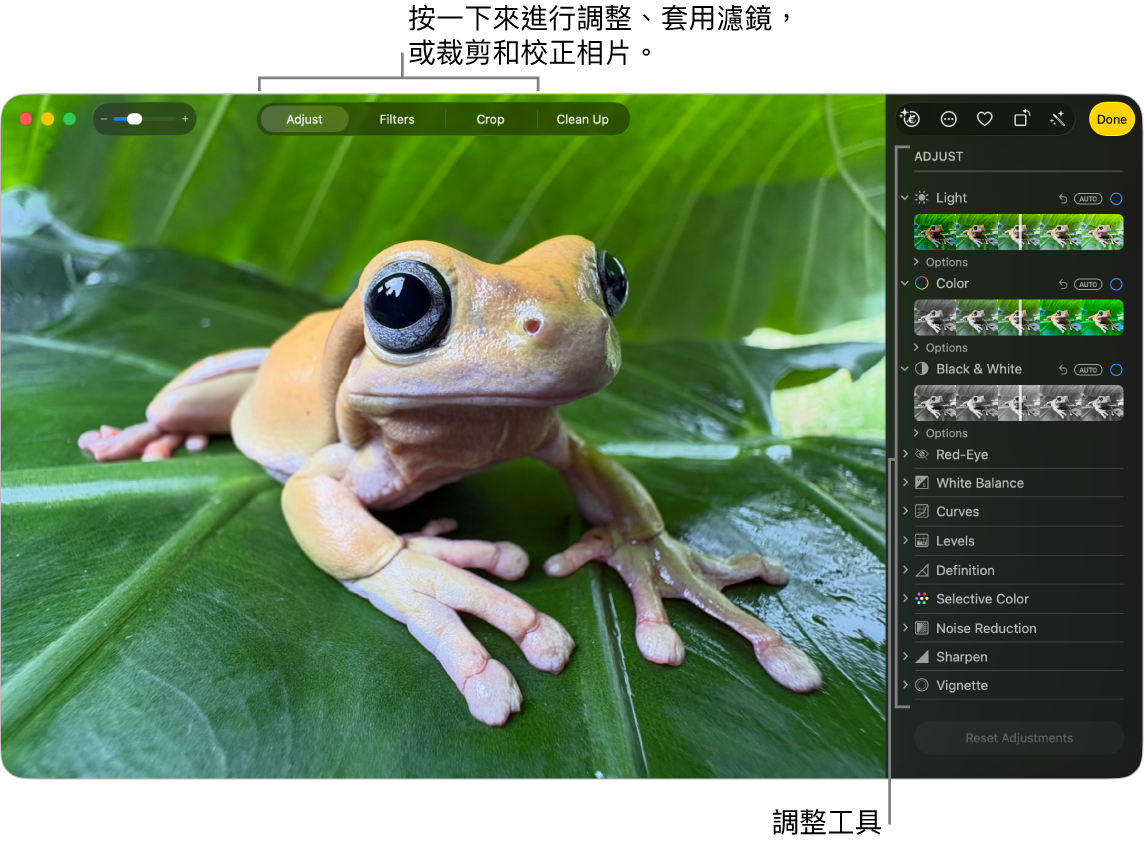 使用編輯顯示方式的相片,已在工具列中選取「調整」,右邊有調整工具。