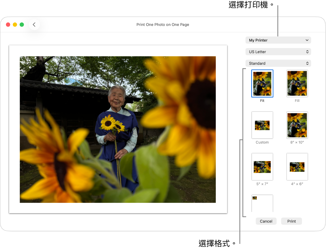 選擇列印選項的視窗，其左側有列印預覽區域，右側則是列印選項。