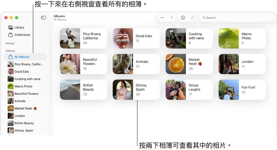 「相片」視窗顯示側邊欄中已選取「相簿」，右側則顯示相簿。