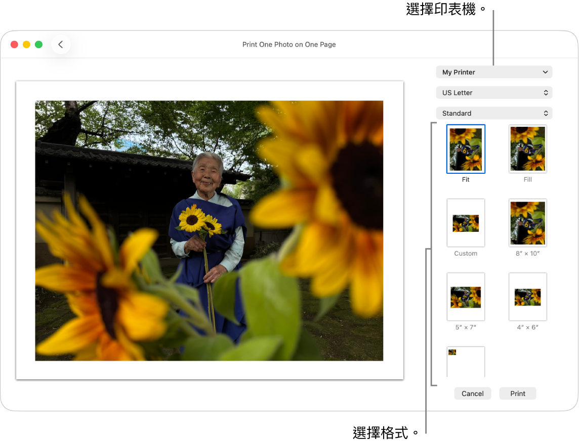 選取列印選項的視窗，其左側有列印預覽區域，右側則是列印選項。