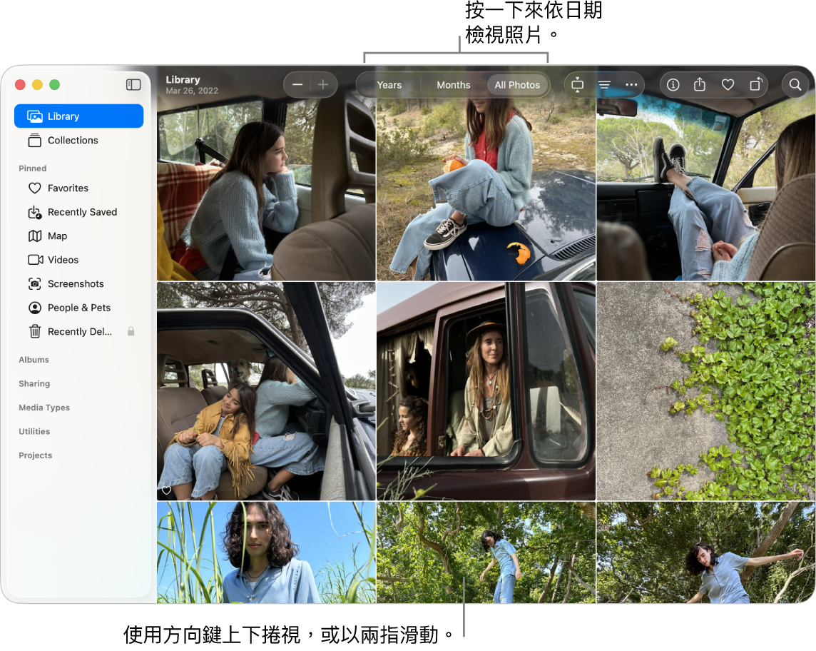 「照片」視窗中顯示已在工具列中選取「所有照片」,視窗的主區域中顯示按日期整理的照片。