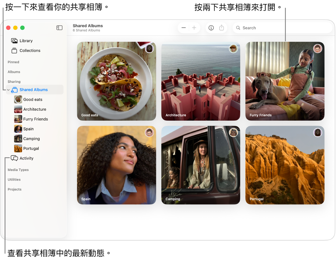 「照片」視窗，顯示側邊欄中選取了「共享的相簿」，而右側顯示共享的相簿。