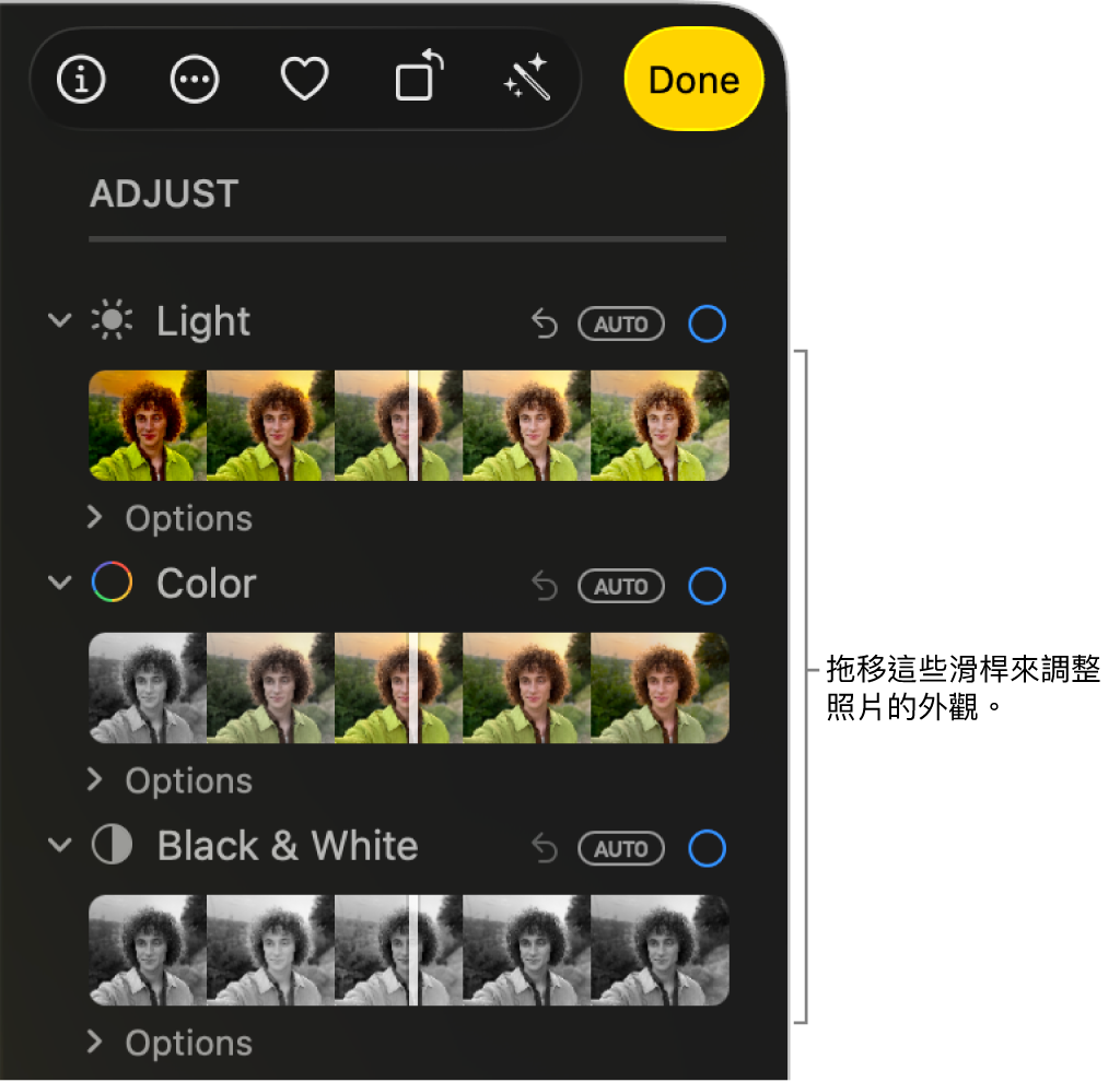 「調整」面板中的「光線」、「顏色」或「黑白」滑桿。每個滑桿上都有一個「自動」按鈕。