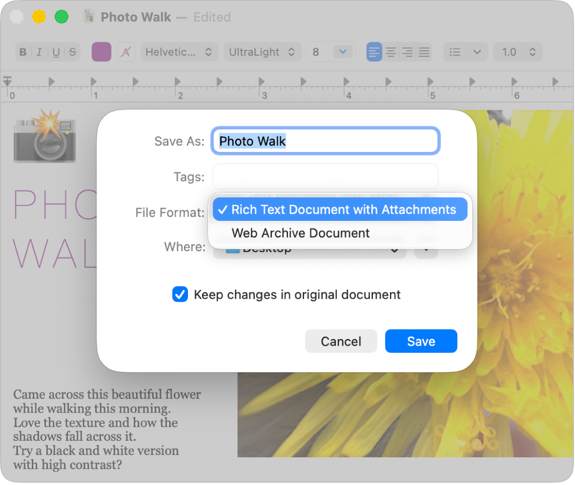 مربع الحوار "حفظ باسم" في تطبيق TextEdit، وتظهر به القائمة المنبثقة "تنسيق الملف" مفتوحة.