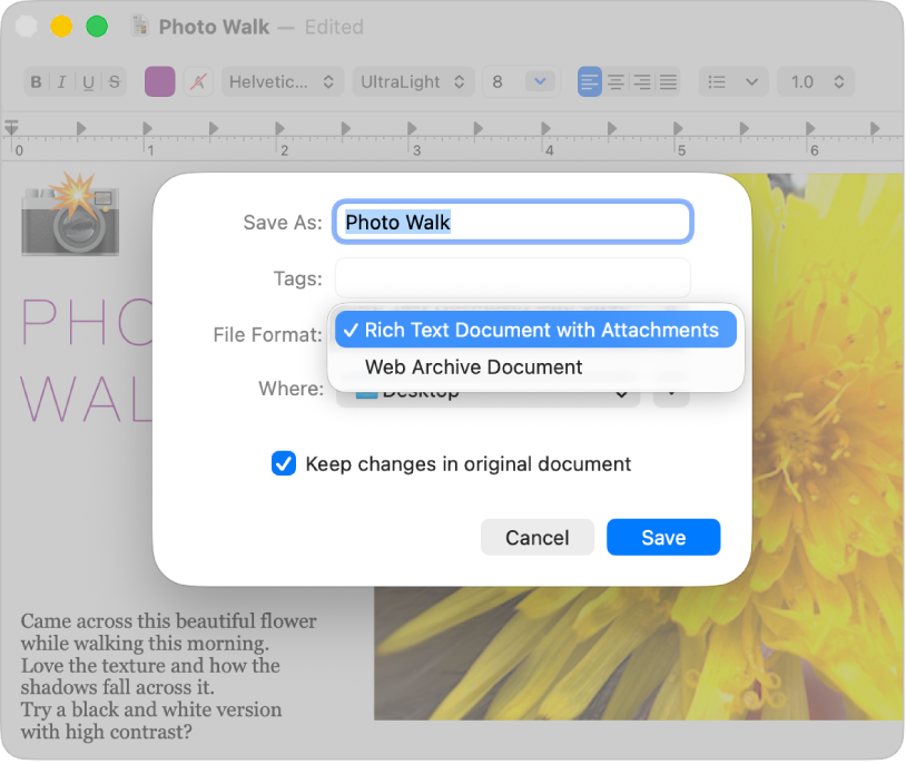 หน้าต่างโต้ตอบบันทึกเป็นใน TextEdit ที่มีเมนูรูปแบบไฟล์ที่แสดงขึ้นเปิดอยู่