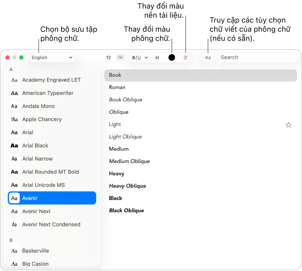 Cửa sổ Phông chữ của TextEdit đang hiển thị một bộ phông chữ.