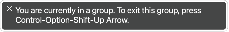 キャプションパネル。VoiceOverで現在読み上げ中の内容が表示されています。
