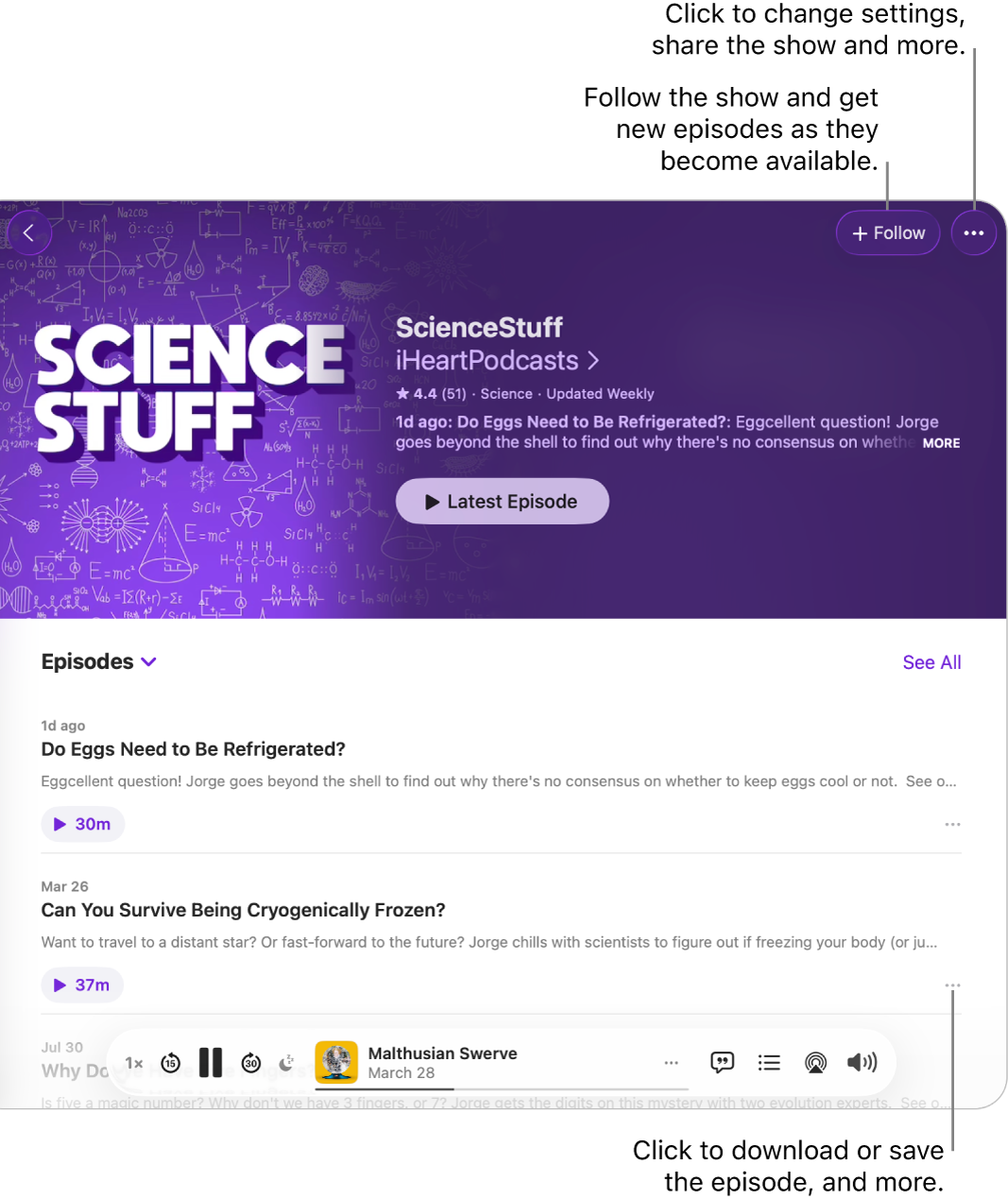 An information page for a podcast, showing the Follow and More buttons for the show at the top. At the bottom of the page is an episode summary and the More button for the episode.