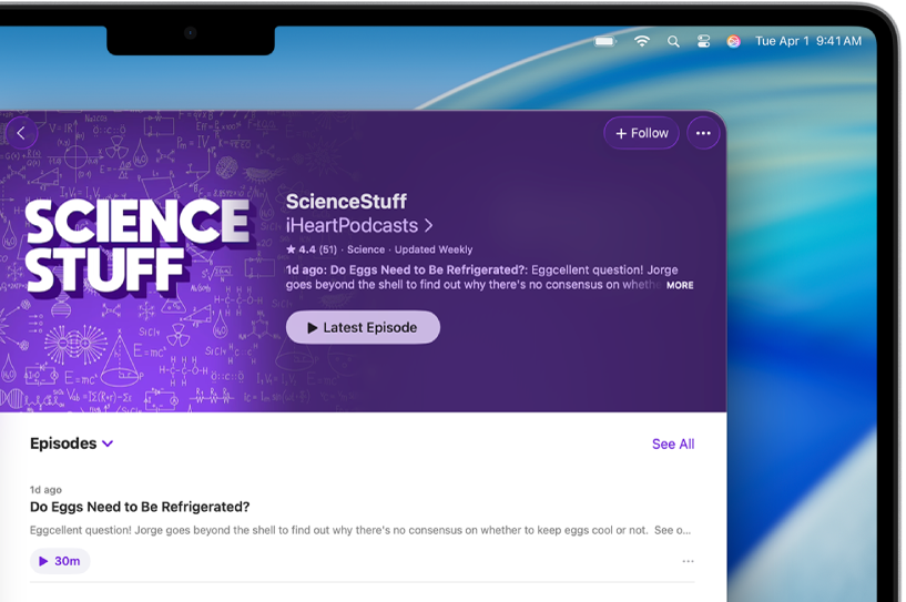 A show page in the Podcasts app, showing the Follow button and show details.