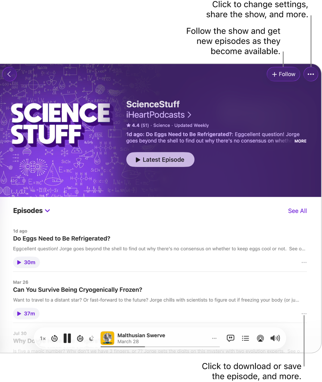 An information page for a podcast, showing the Follow and More buttons for the show at the top. At the bottom of the page is an episode summary and the More button for the episode.