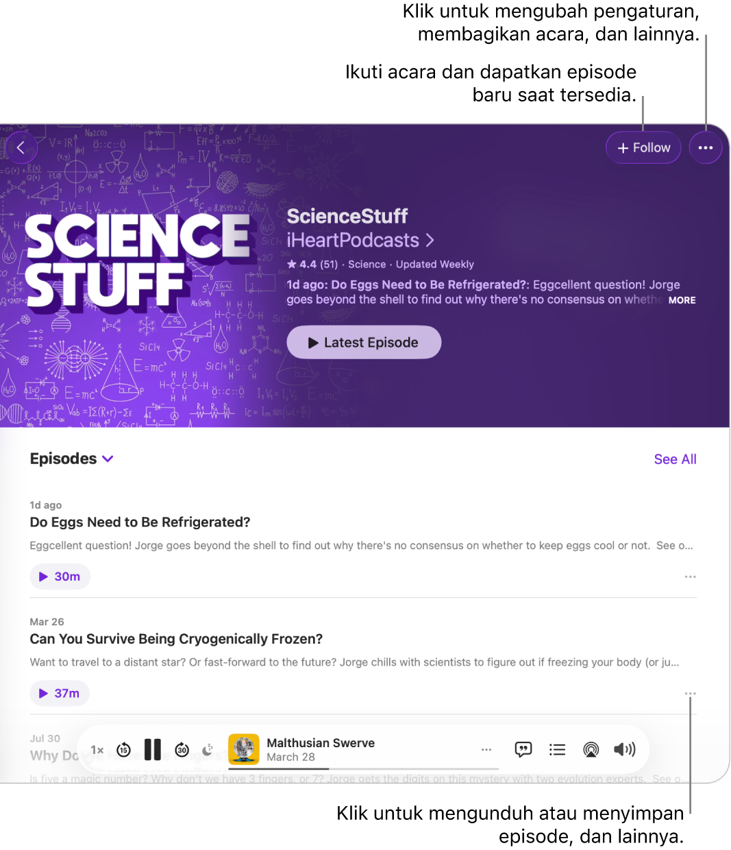 Halaman informasi untuk podcast, yang menampilkan tombol Ikuti dan Lainnya untuk acara di bagian atas. Di bagian bawah halaman terdapat rangkuman episode dan tombol Lainnya untuk episode.