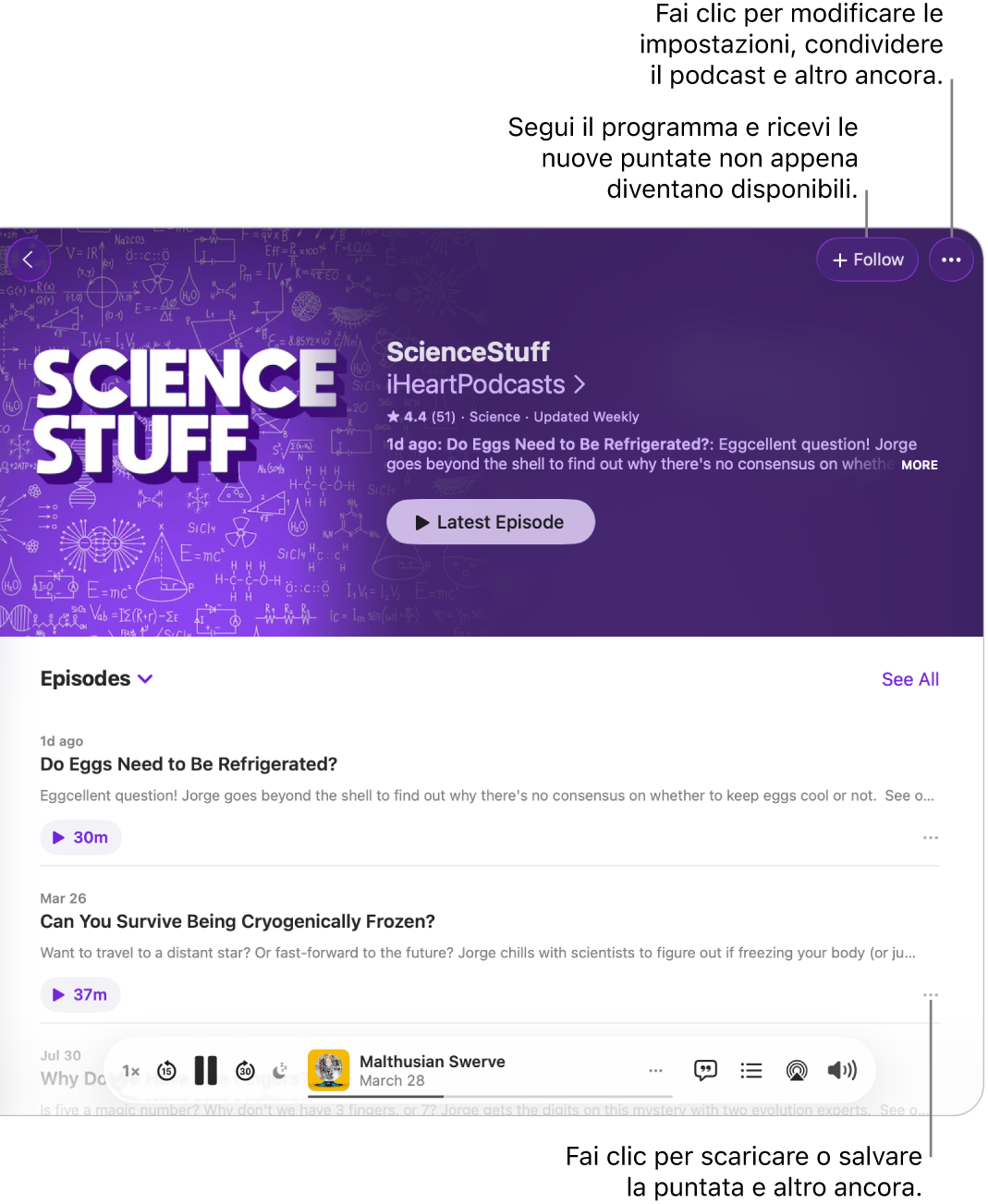 Una pagina informativa di un podcast, con i pulsanti Segui e Altro per il podcast in alto. In fondo alla pagina è disponibile un riepilogo della puntata e il pulsante Altro per la puntata.