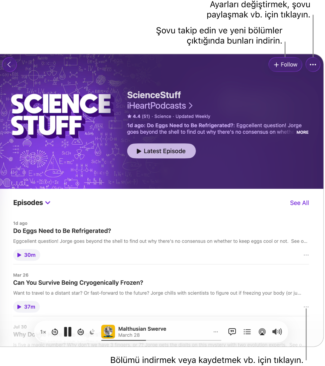 Podcast’in bilgi sayfasında en üst tarafta Takip Et ve Daha Fazla düğmeleri gösteriliyor. Sayfanın en altında bölümün özeti ve bölümle ilgili Daha Fazla düğmesi bulunur.