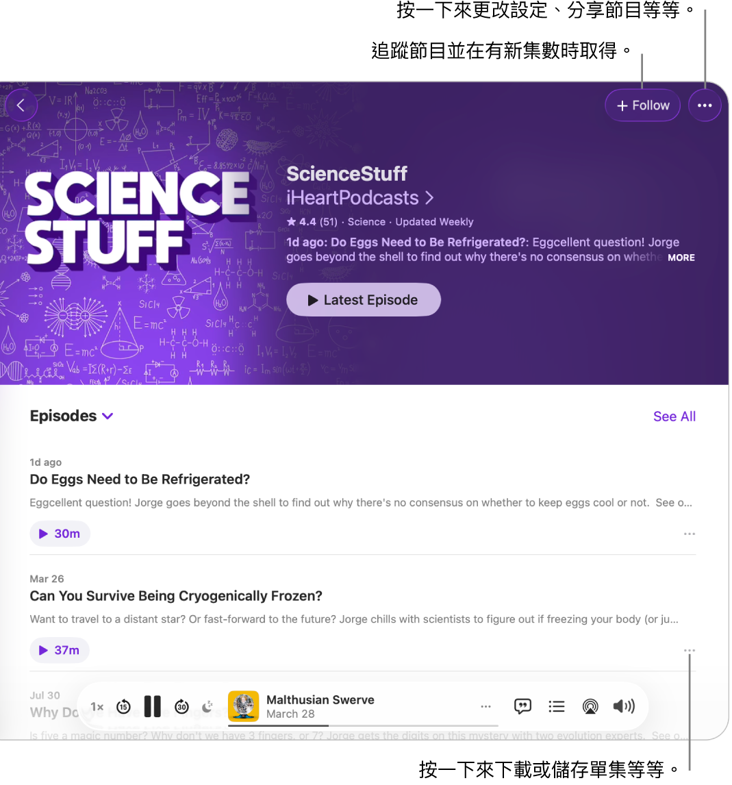 Podcast 的資訊頁面,最上方顯示節目的「追蹤」和「更多」按鈕。頁面底部為單集摘要和單集的「更多」按鈕。