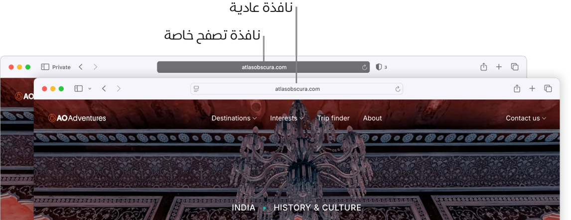 نافذة سفاري خاصة تحتوي على حقل بحث ذكي باللون الداكن، ونافذة سفاري عادية تحتوي على حقل بحث ذكي باللون الفاتح.