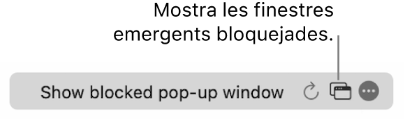 El camp de cerca intel·ligent amb un botó per mostrar les finestres emergents bloquejades.